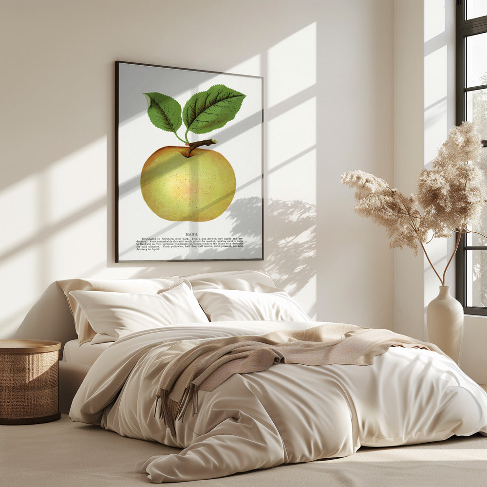Mann Appellithografie | Poster