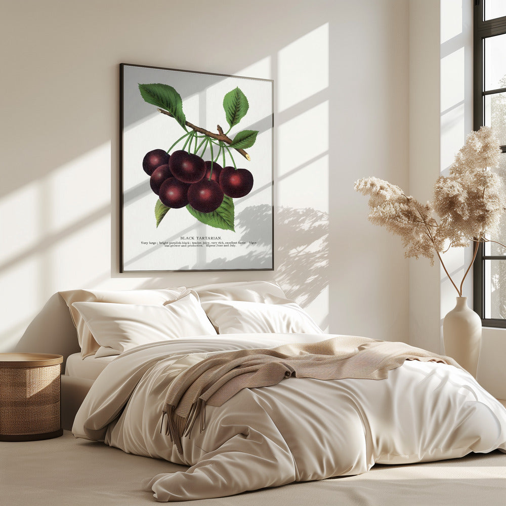 Lithografie van zwarte tartaarse kers | Poster