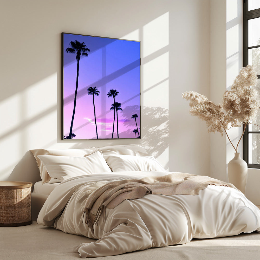 Palmboom zonsondergang | Poster