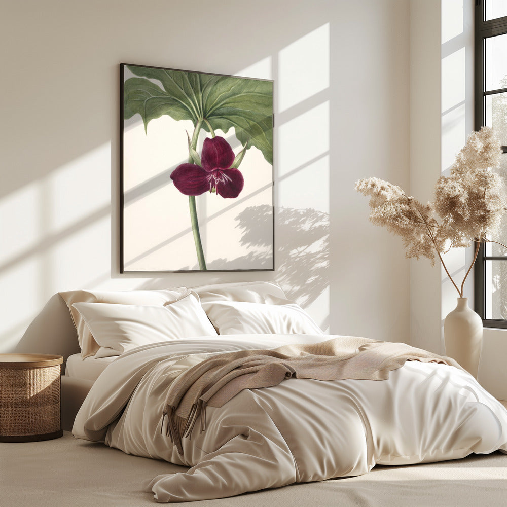 Zoete Trillium | Poster