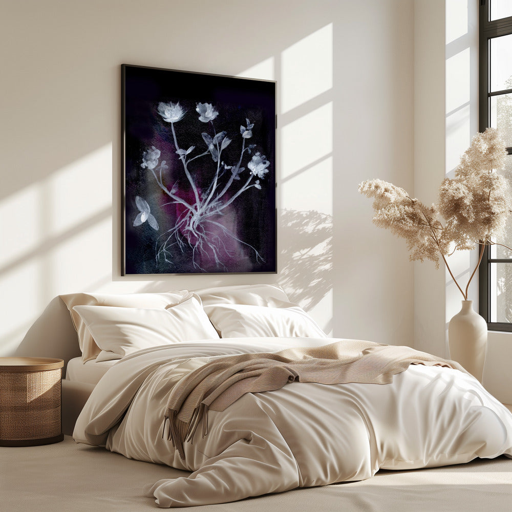 Geheime Tuin II | Poster