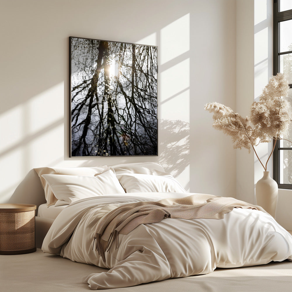 Winterreflecties 4 | Poster