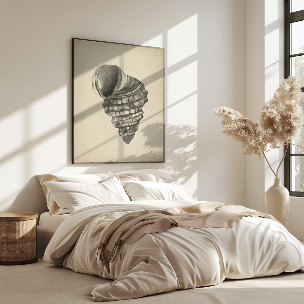 Schelpen | Poster