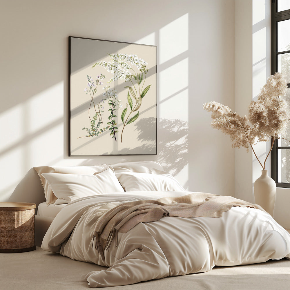 Veronica getekend door Sarah Featon (1848–1927) | Poster