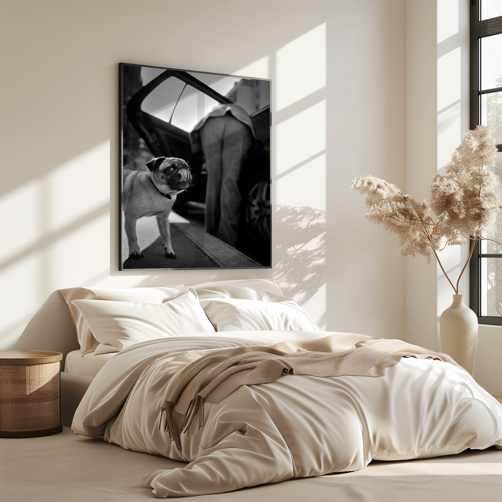 Zonder titel | Poster