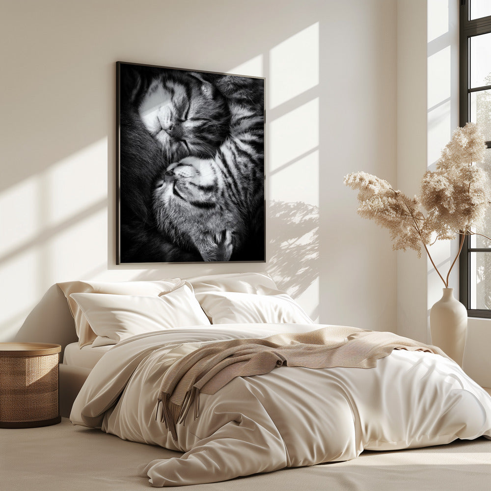 Yin and Yang | Poster