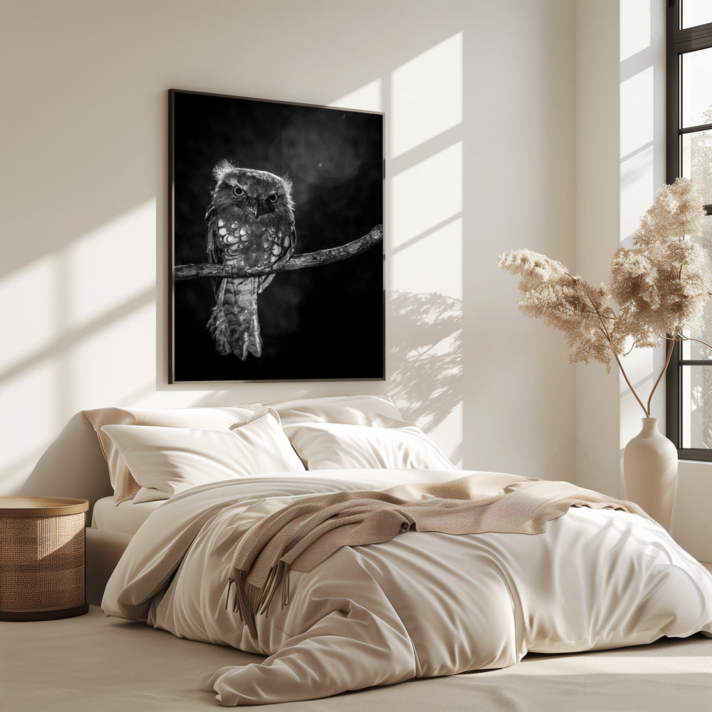 Alleen in de nacht | Poster