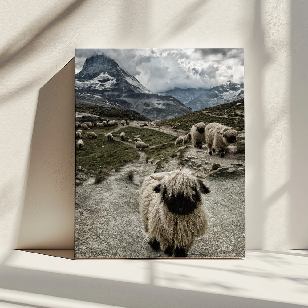 Uit de weg | Canvas
