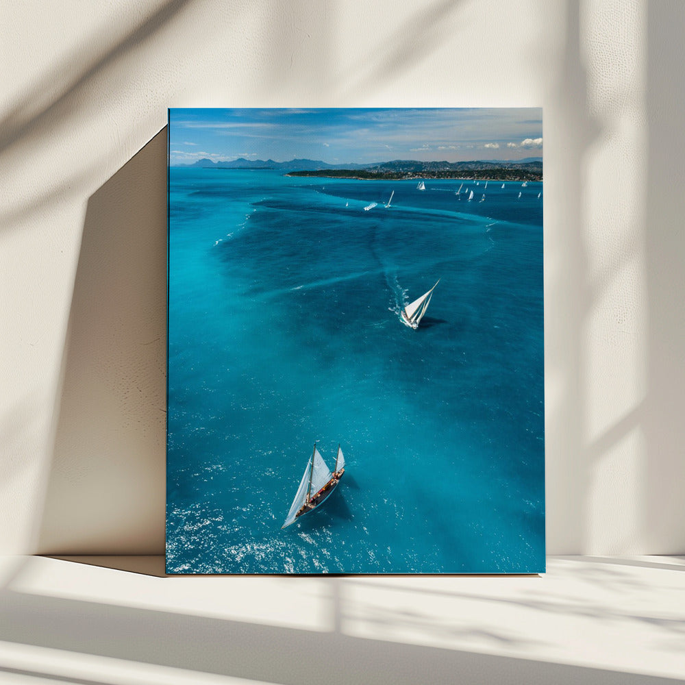 Boven de race | Canvas