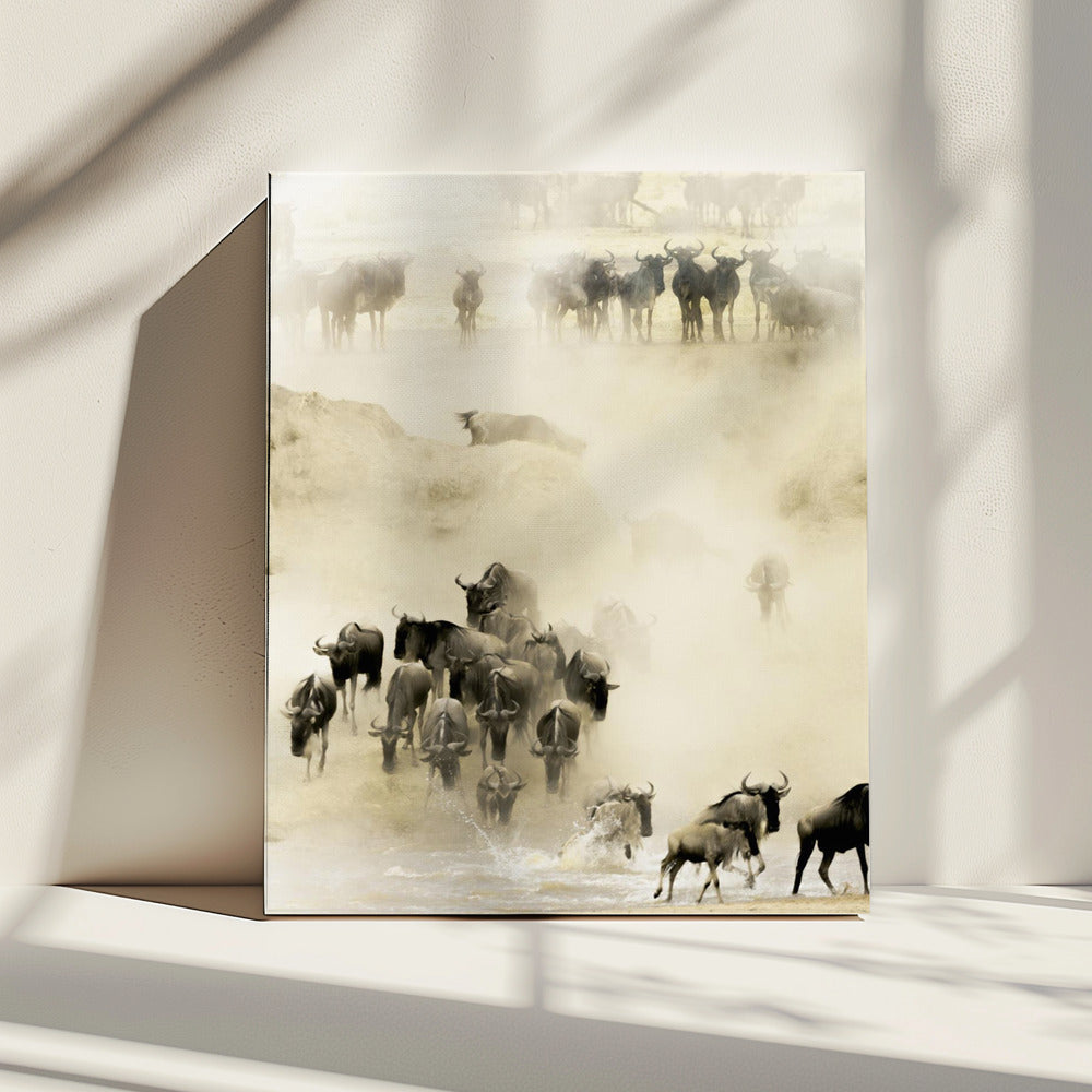 Zwermen | Canvas
