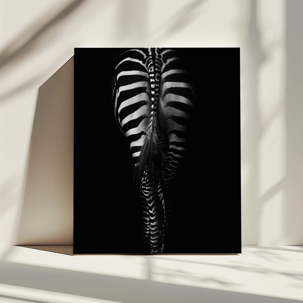 Zonder titel | Canvas