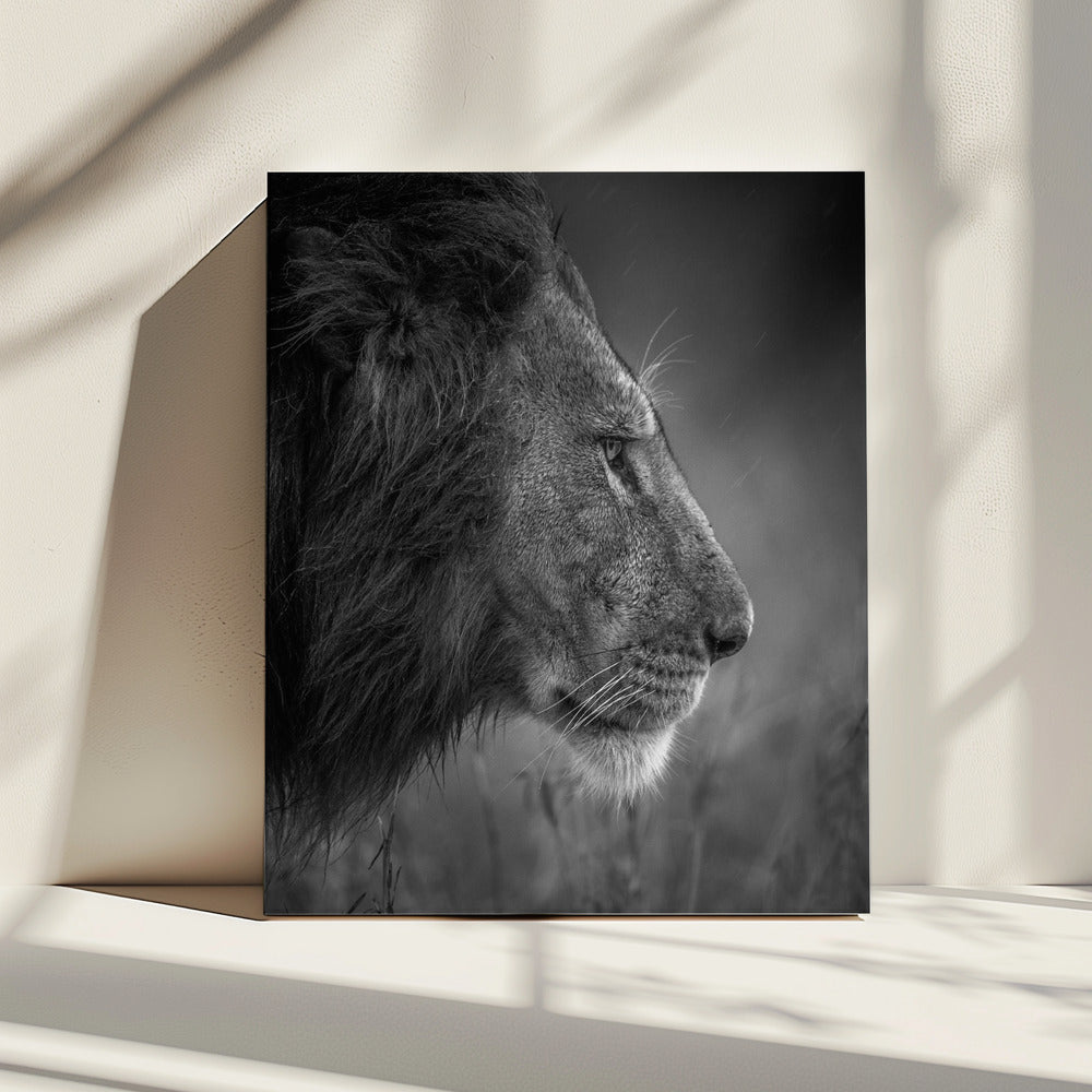 Denken onder de regen | Canvas