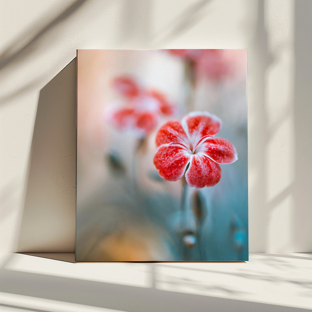 Anjer | Canvas