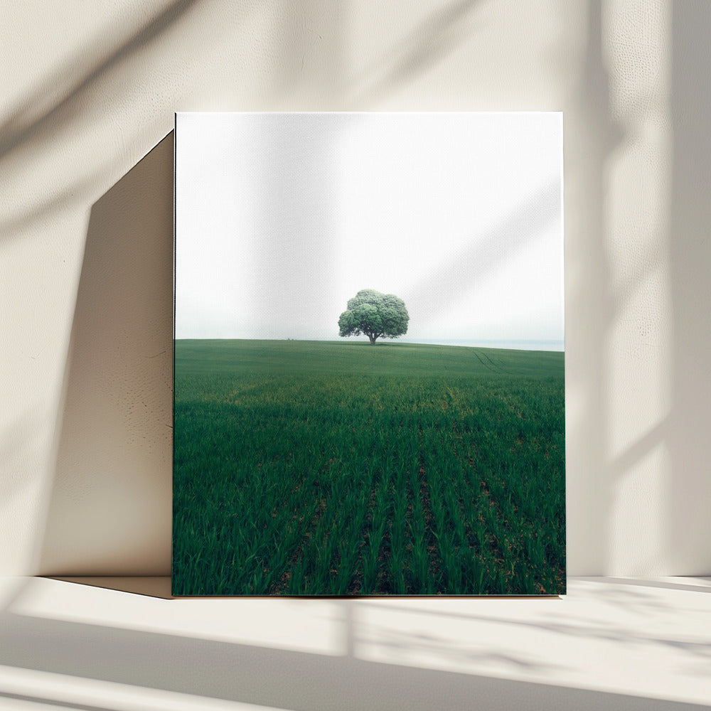 De eenzame eik | Canvas