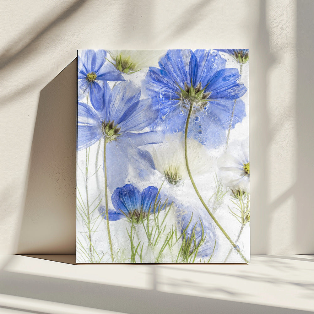 Kosmosblauw | Canvas