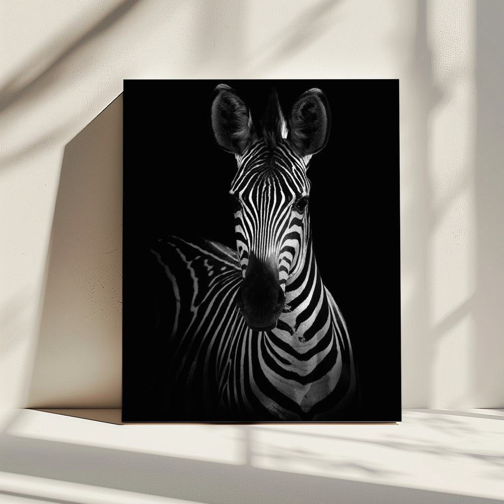 De Zebra | Canvas