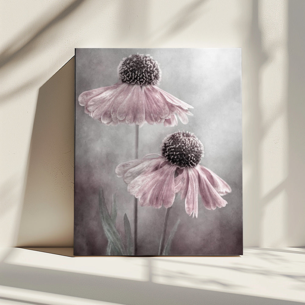 Duet | Canvas