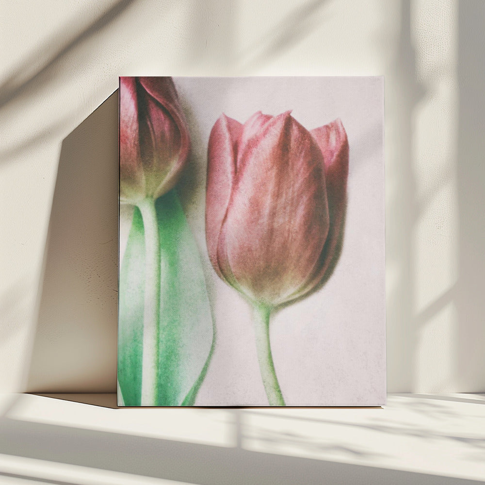 De Lenteliefhebbers | Canvas