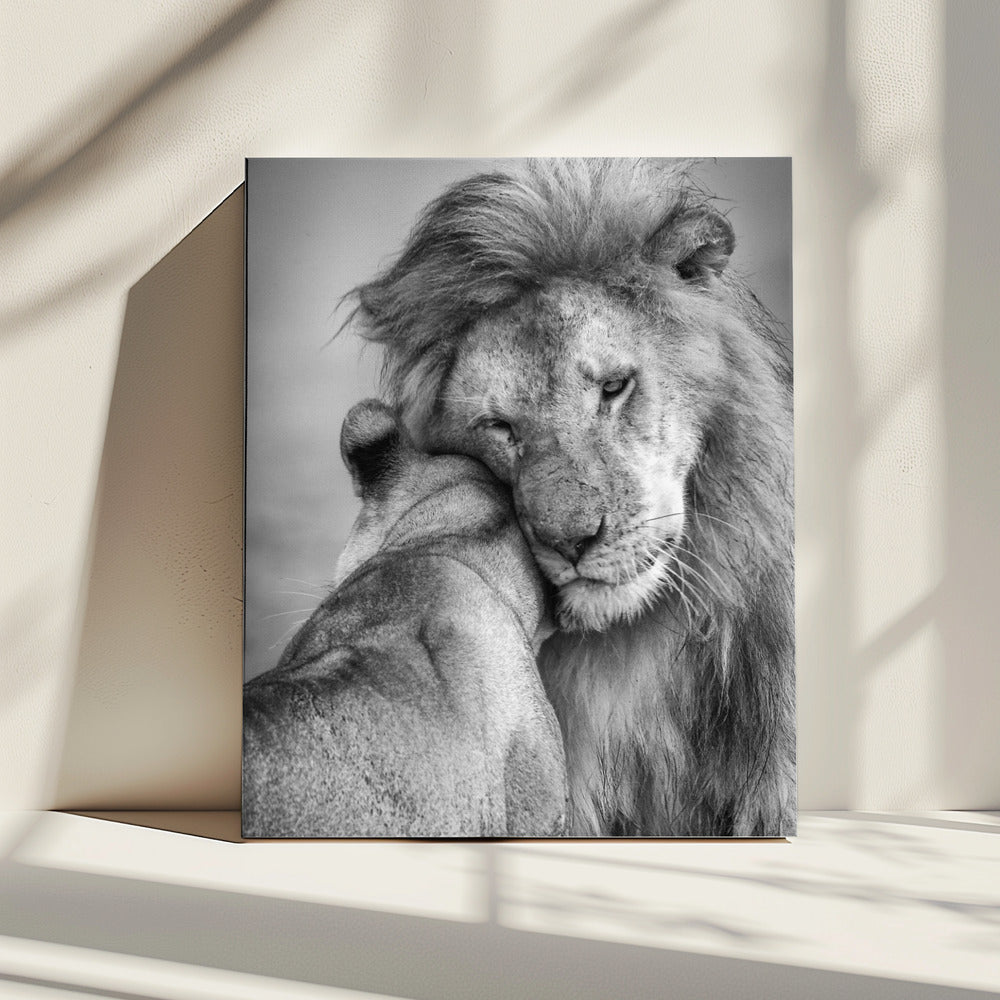 Afrikaanse liefde! | Canvas