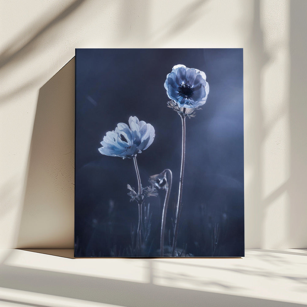 Ondertussen, buitenmuren | Canvas