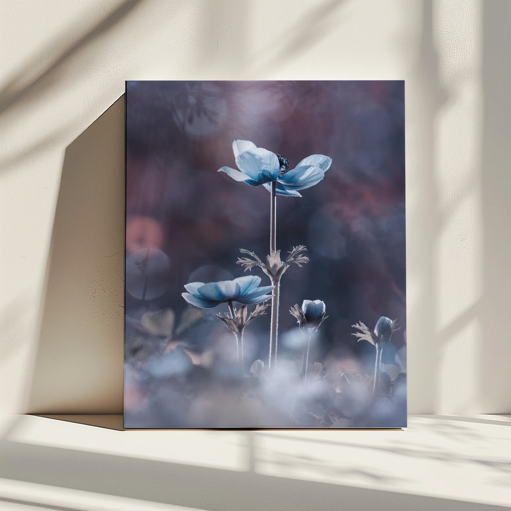 Het begin van een nieuw tijdperk | Canvas