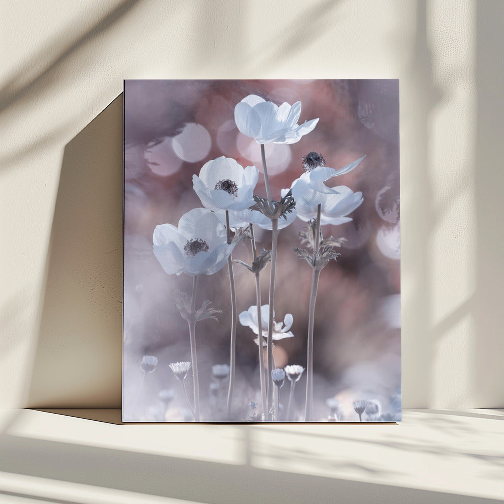 Alle bloemen van alle morgens zitten in de zaden van vandaag | Canvas