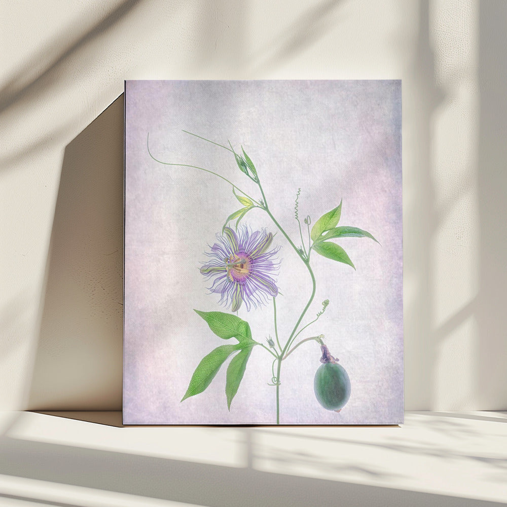 Passievrucht | Canvas