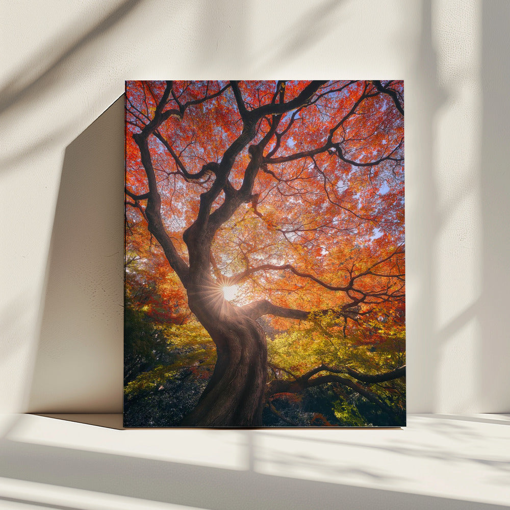 De Japanse boom | Canvas