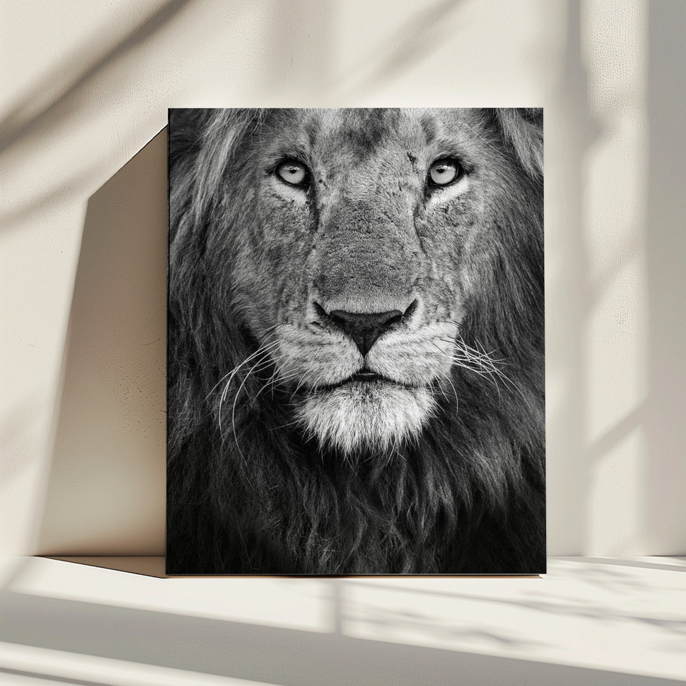 Koninklijk portret | Canvas