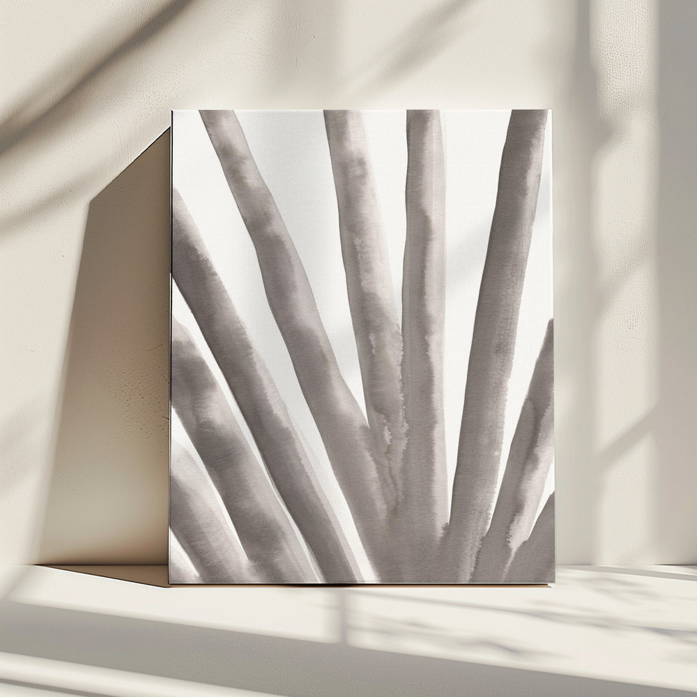 Aloë Vera | Canvas
