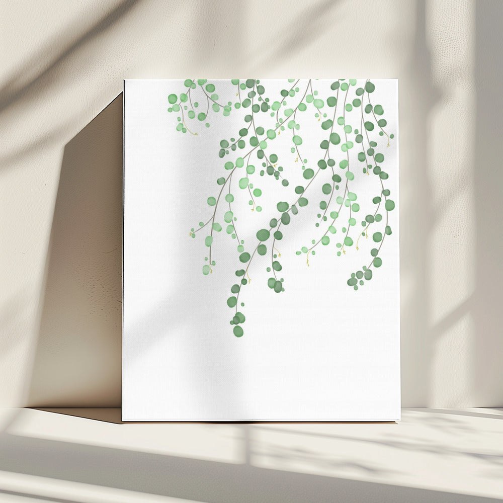 Berkenboom | Canvas