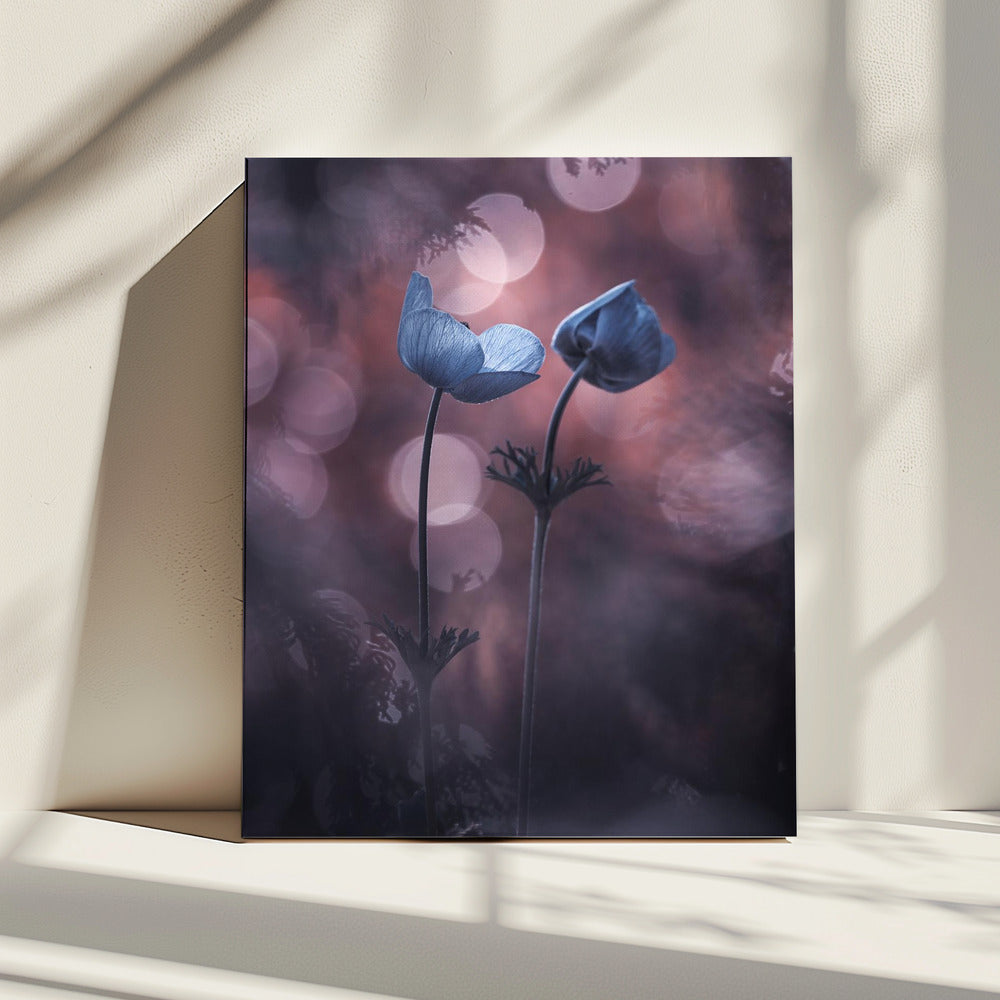 Waarom voelt mijn hart zo slecht? | Canvas