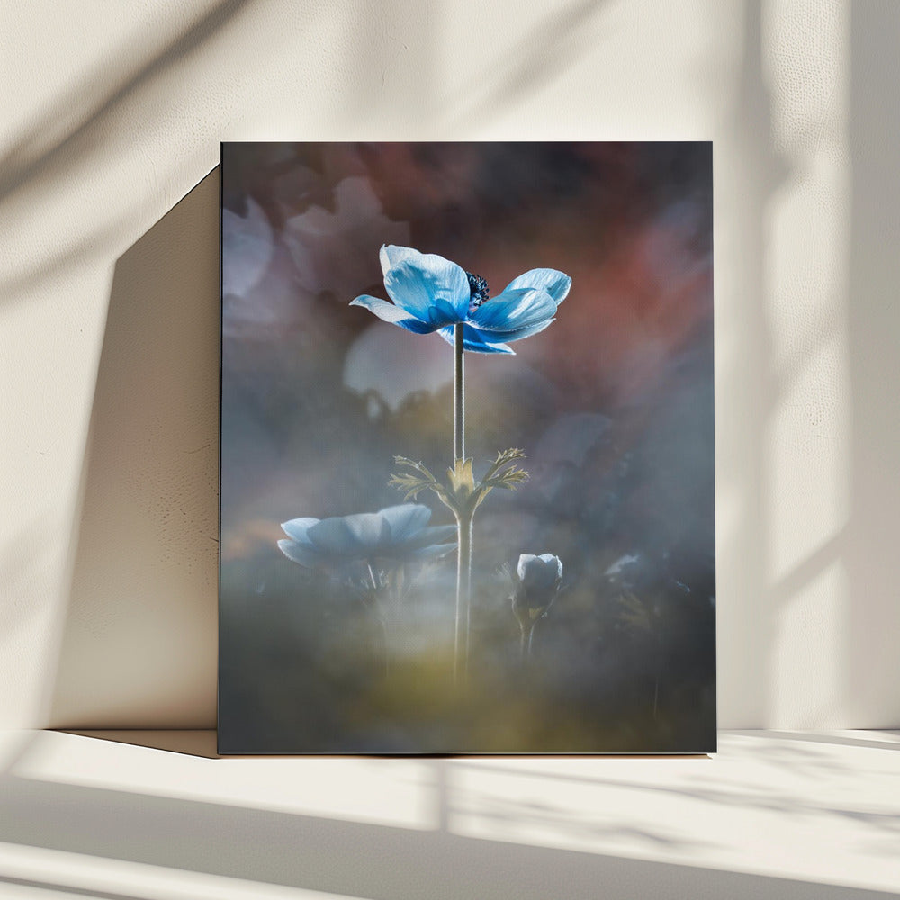 Bloei als een bloem | Canvas