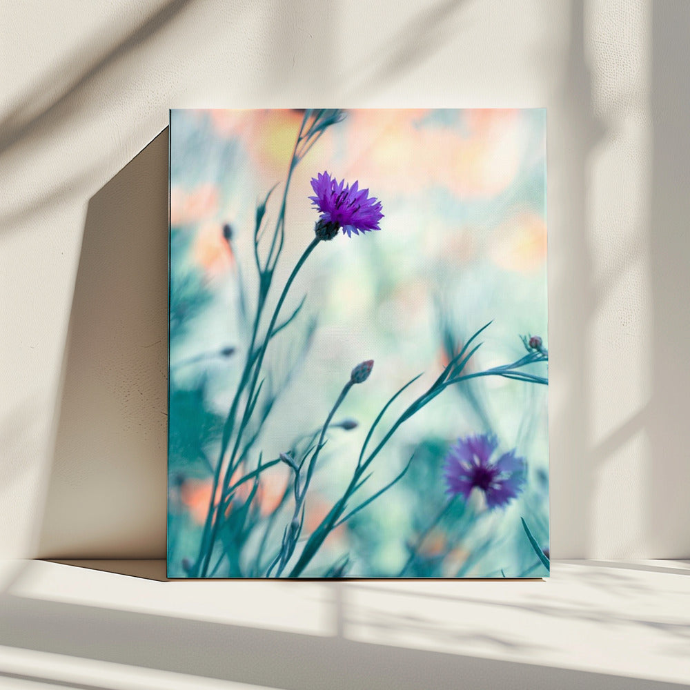 Kleurenspel 2 | Canvas