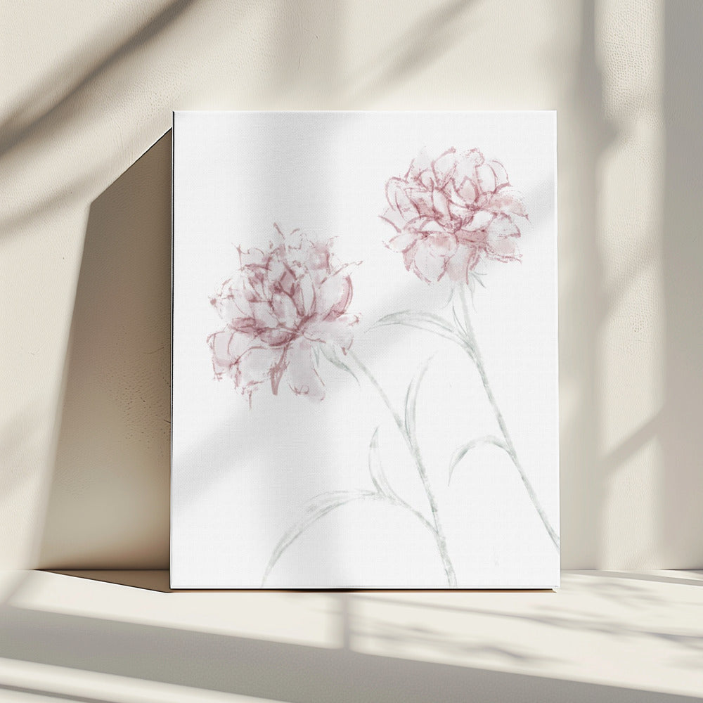 Pioenroos 03 | Canvas