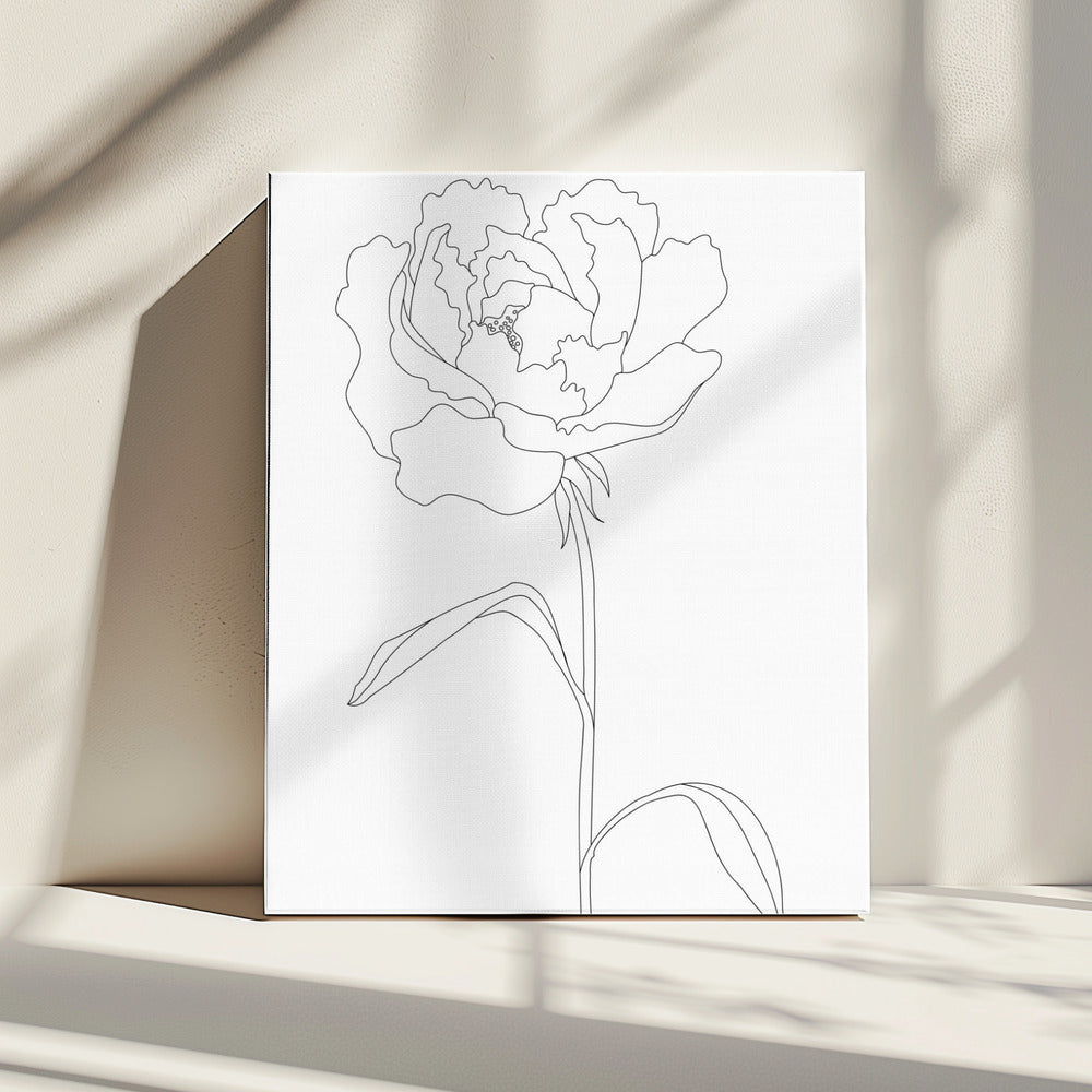 Pioenlijnen | Canvas