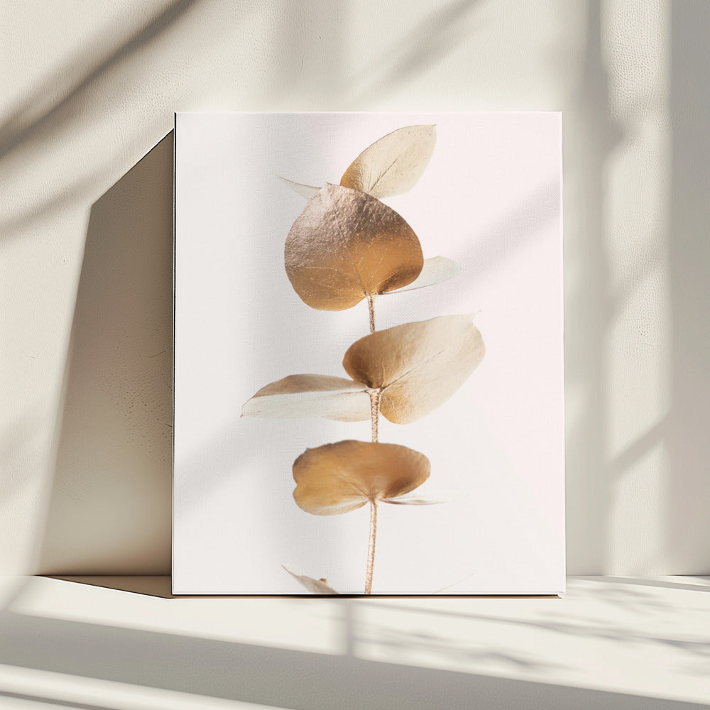 Eucalyptus Goud Nr. 06 | Canvas