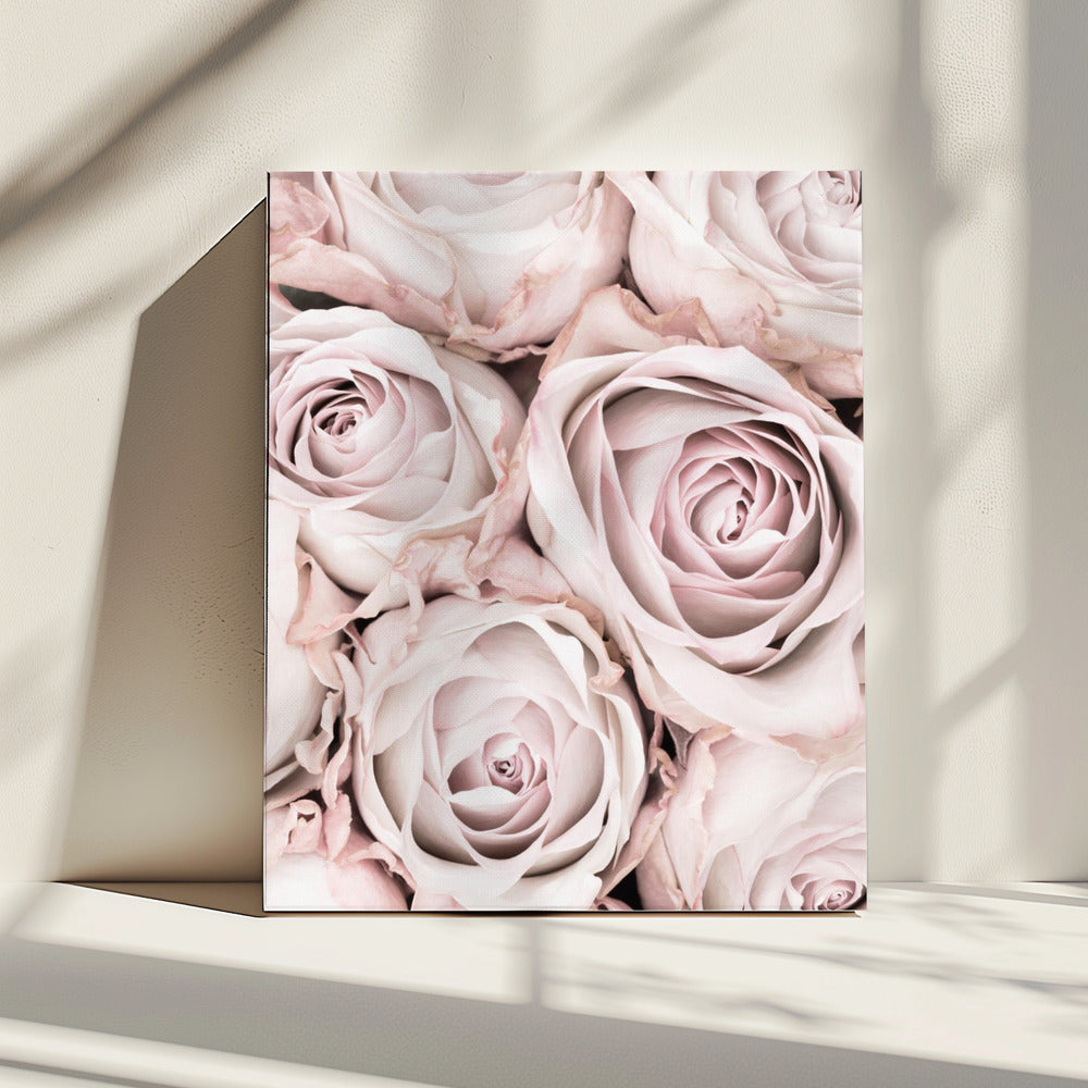 Roze rozen nr. 01 | Canvas
