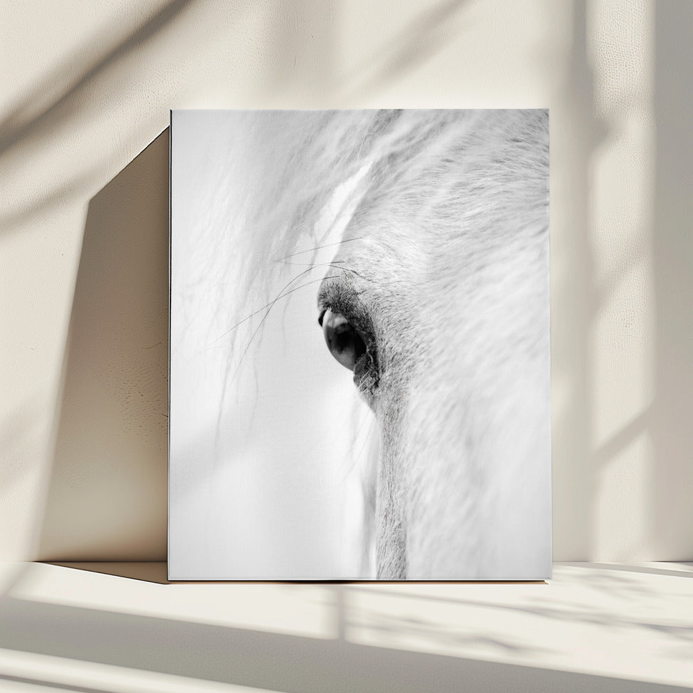 Hose eye | Canvas