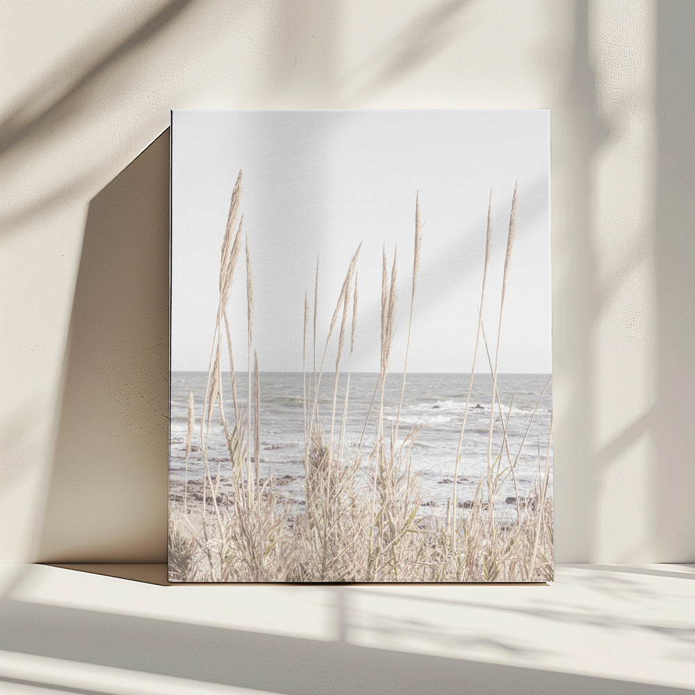 Strand_Vass_001 | Canvas