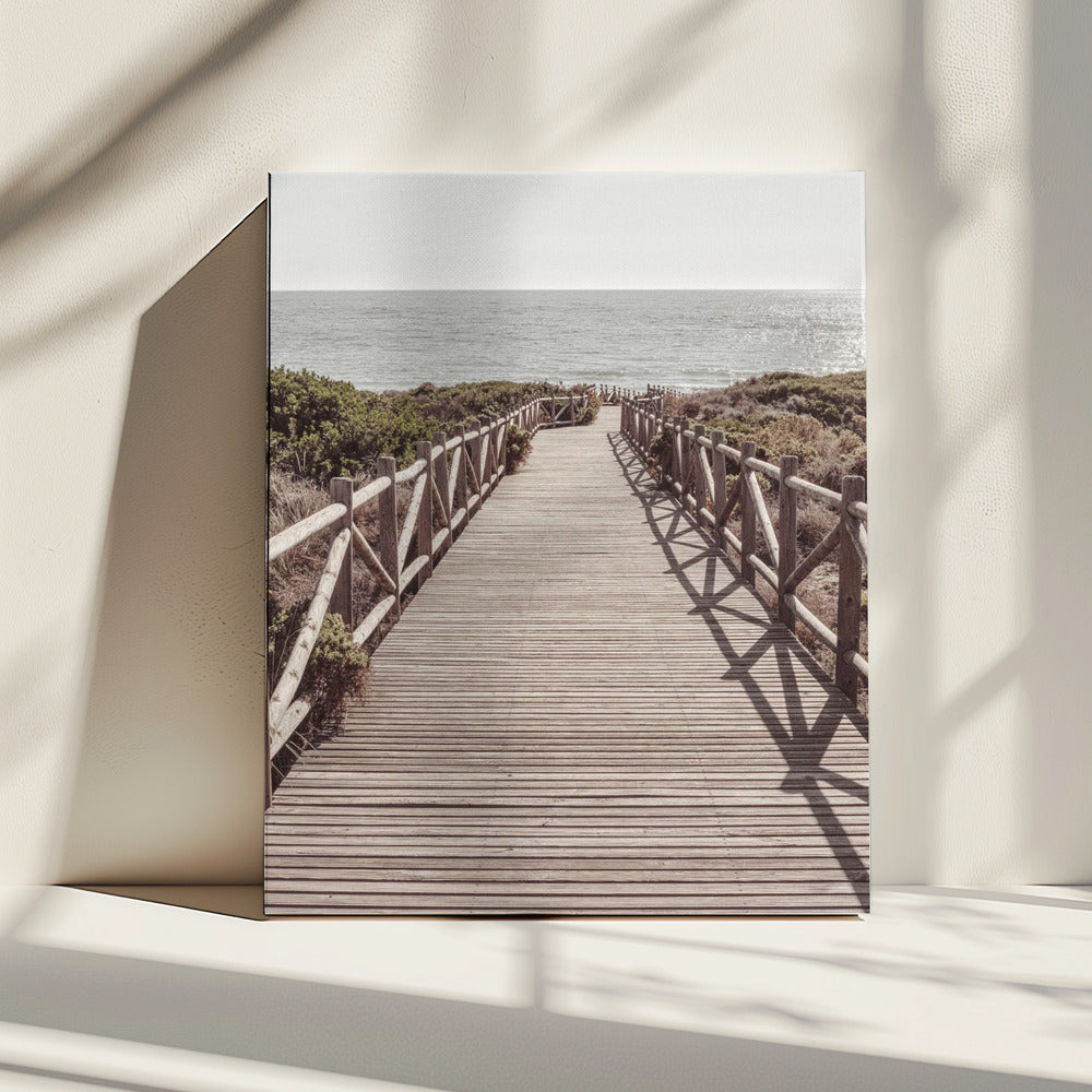 Strand_003 | Canvas