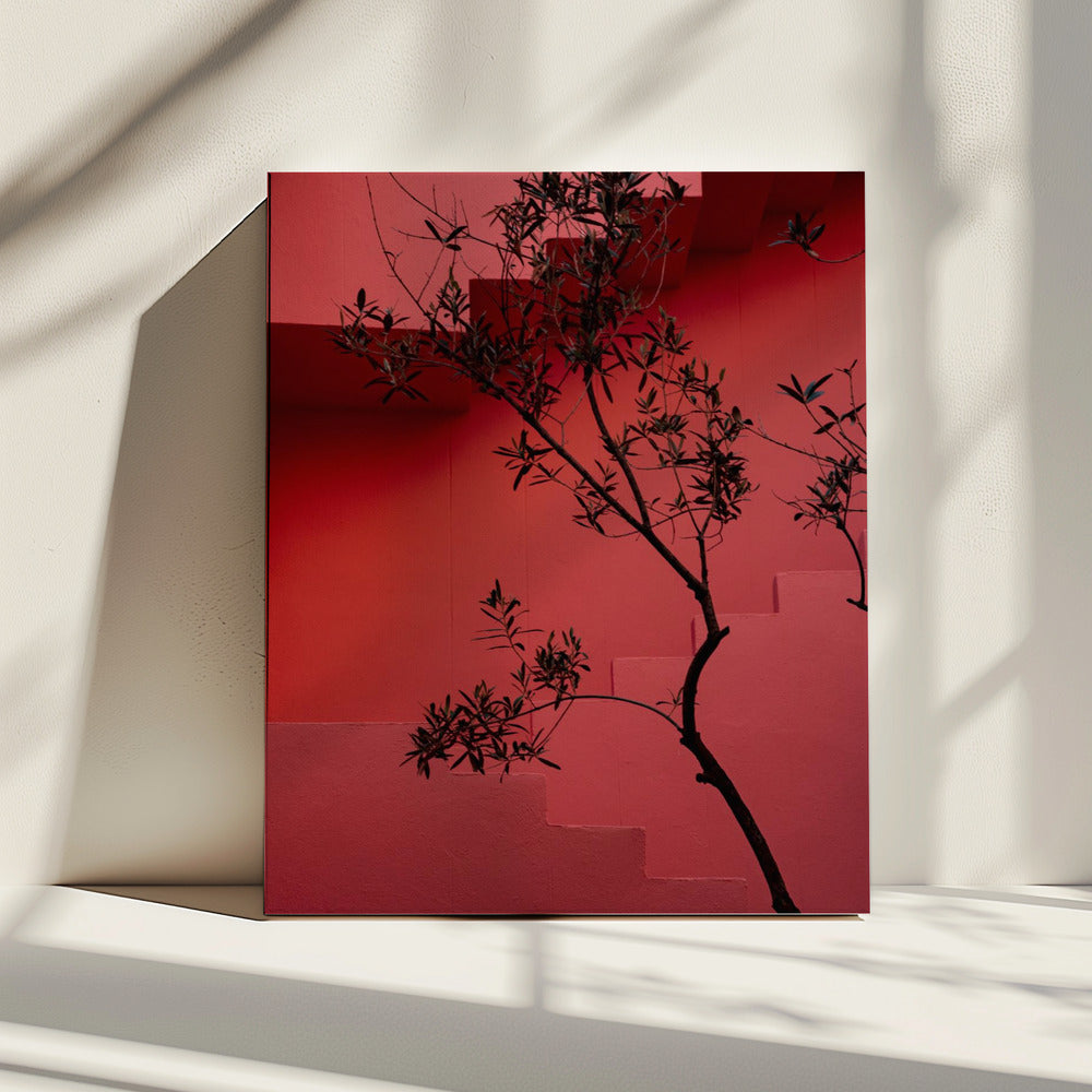 Muurschildering Rood #14 | Canvas