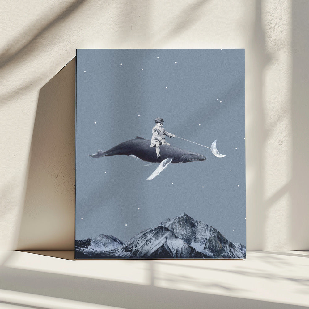 Richt op de maan | Canvas