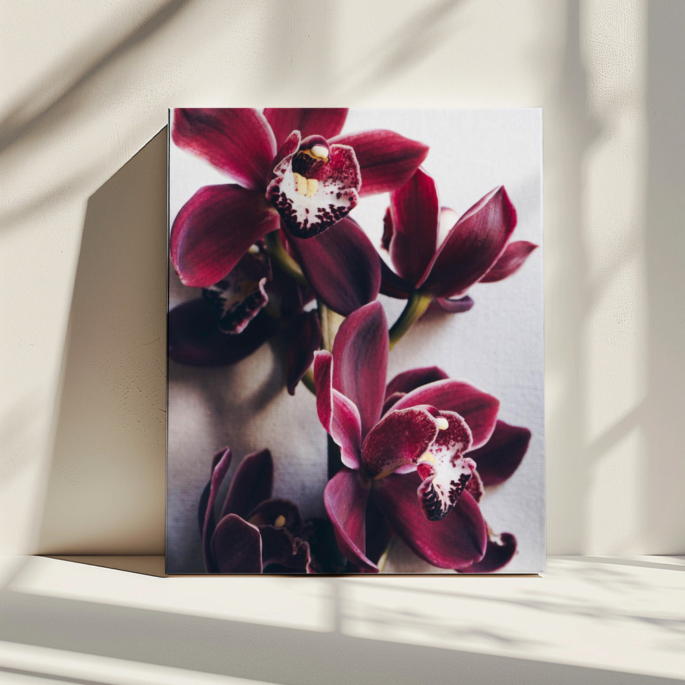 Orchideeën Elegantie | Canvas