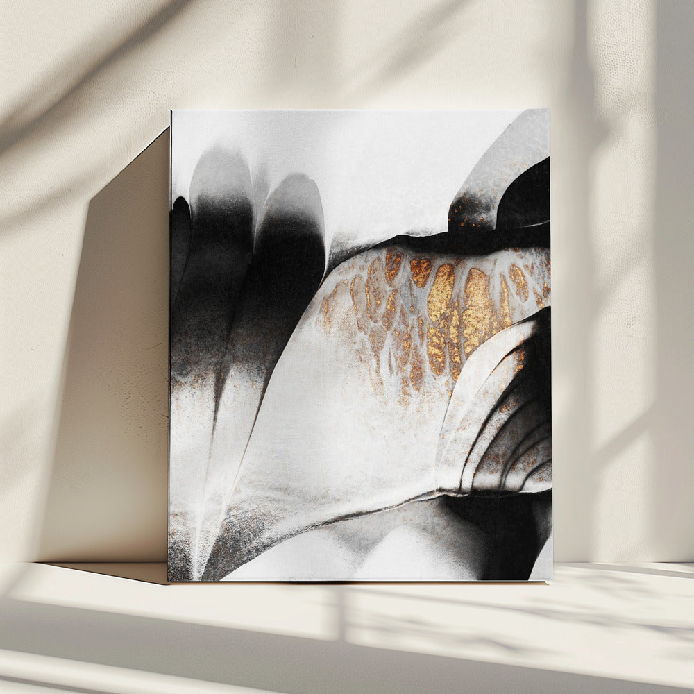 Goudaders | Canvas