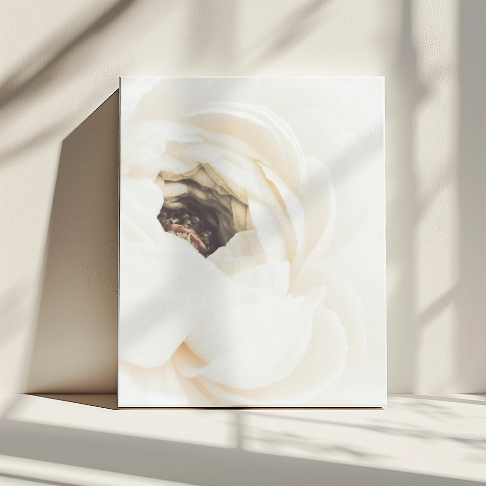 Witte Bloem 01 | Canvas