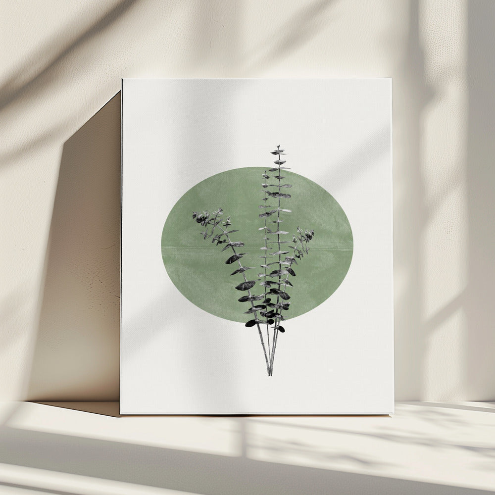 Echo van de natuur | Canvas