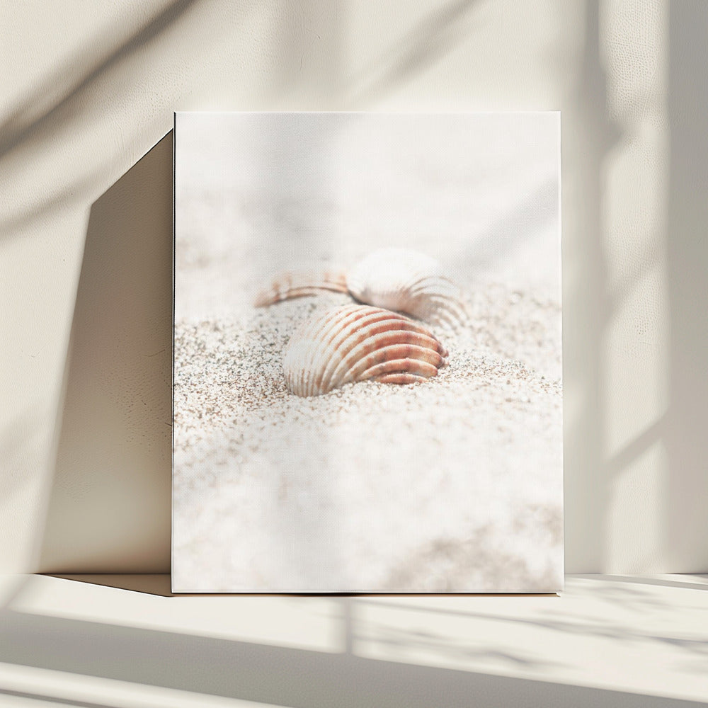 Strand_013 | Canvas