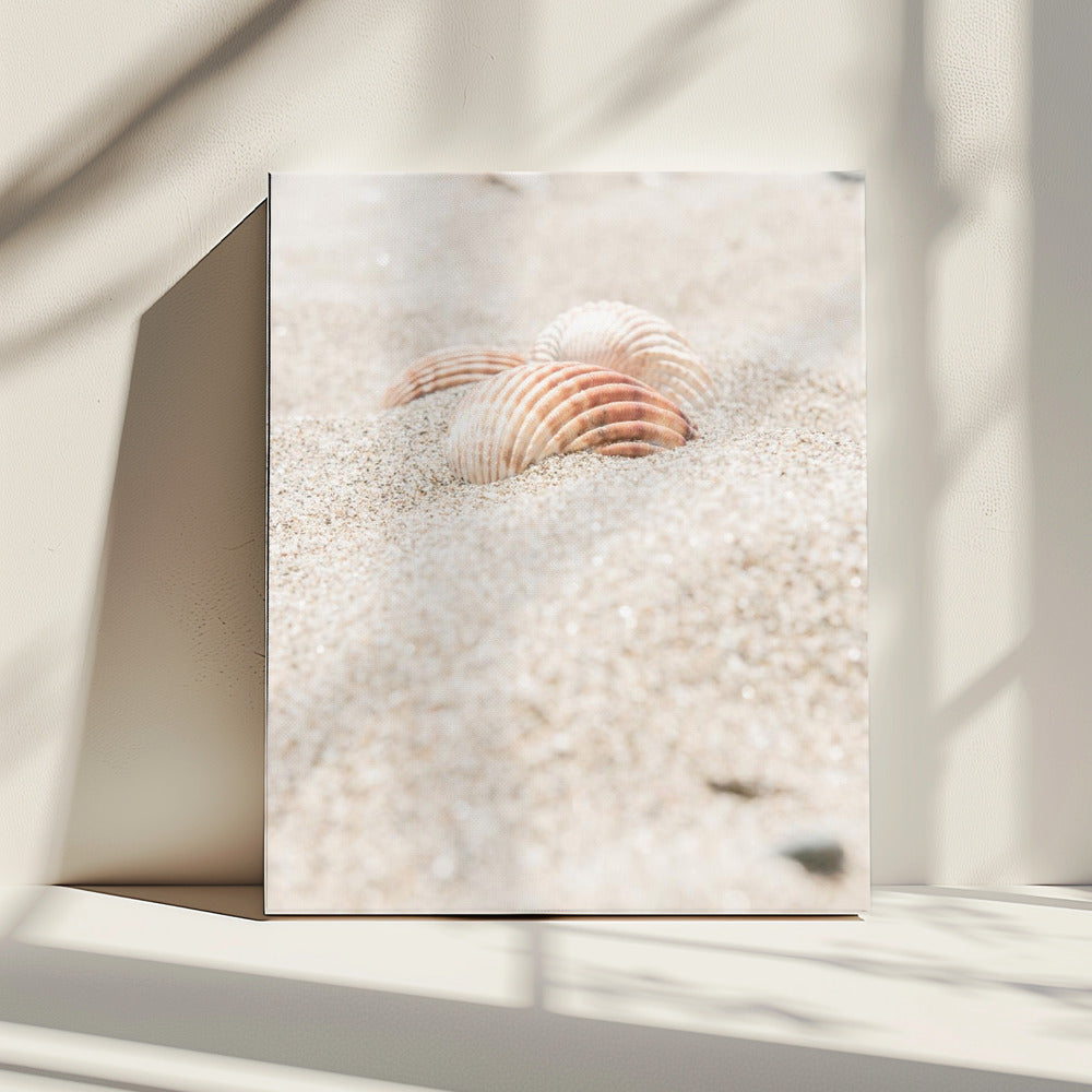 Strand_014 | Canvas