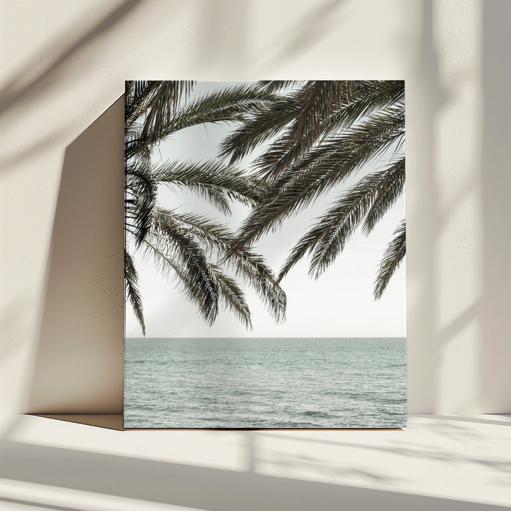 Solaris 04 | Canvas